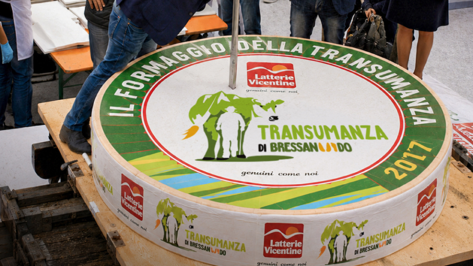 How a school project became the symbol of an event.